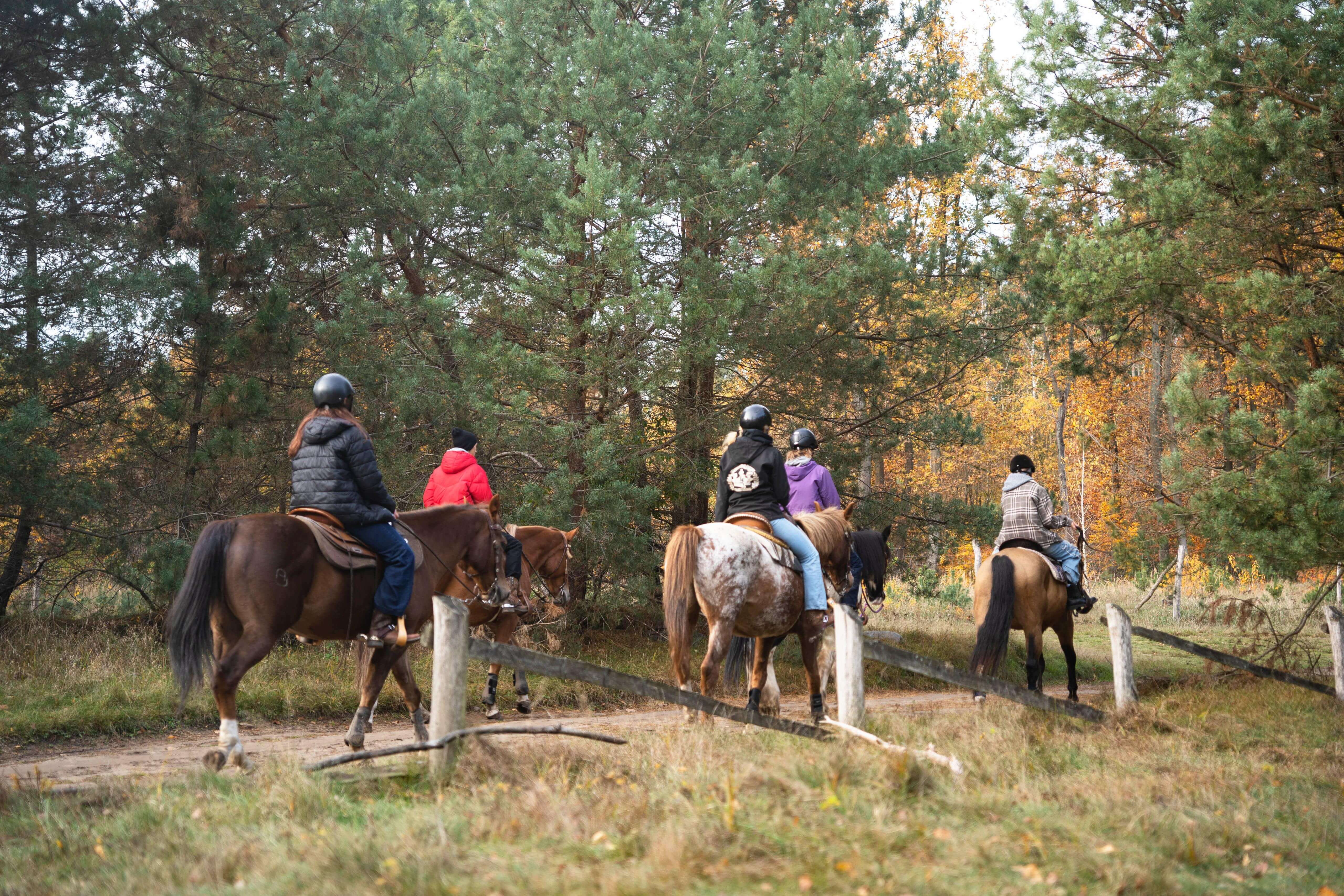 Ranczo — ludzie z pasją 3