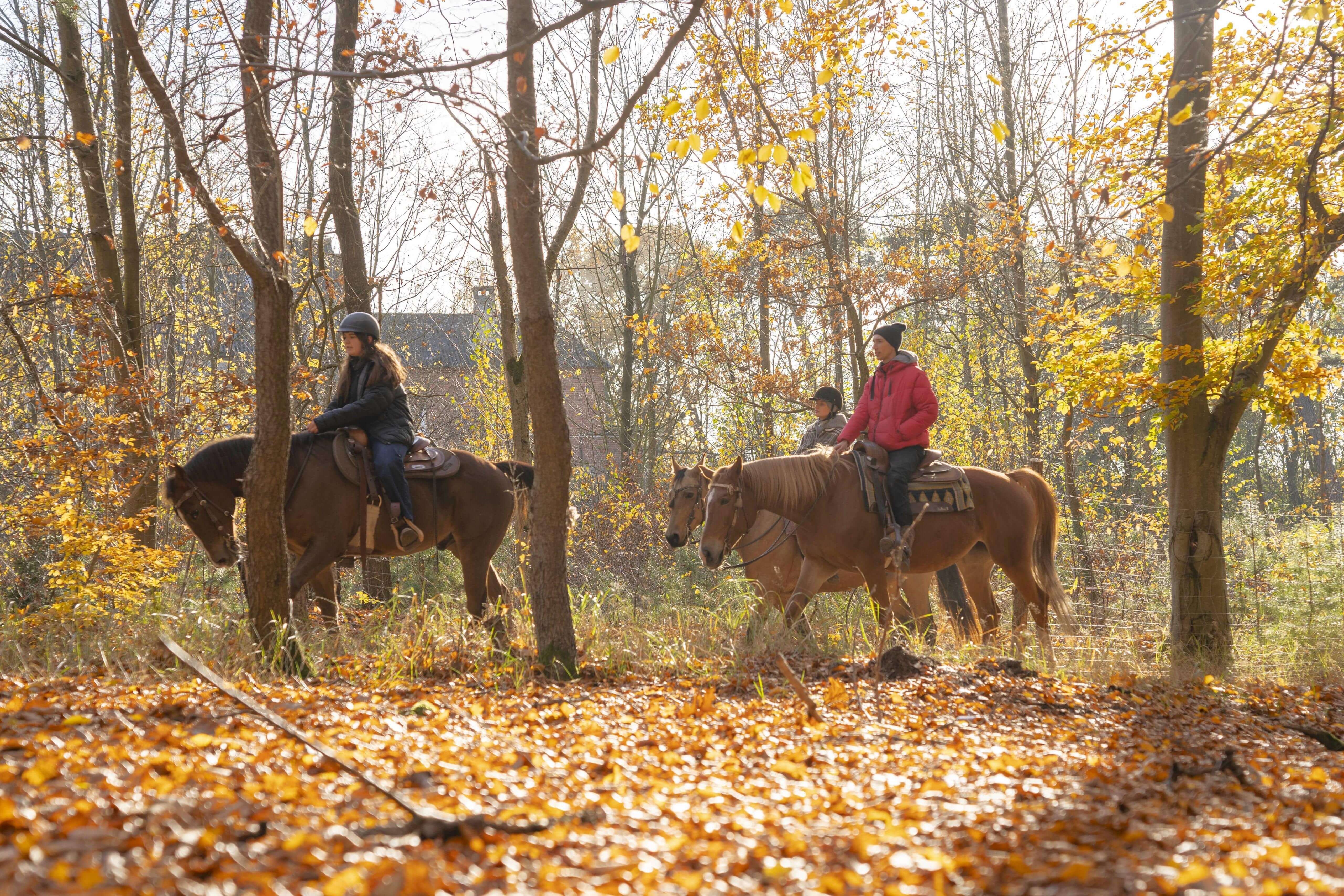 Ranczo — ludzie z pasją 5