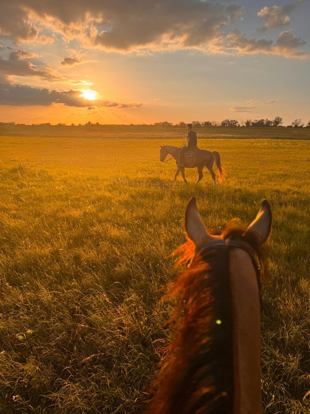 Szkoła jazdy western